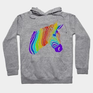 Trippy zebra Hoodie